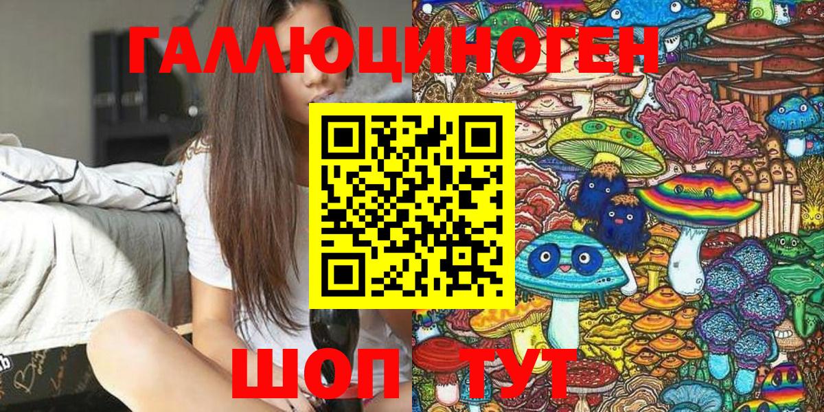 как найти   Псилоцибиновые грибы Psilocybine cubensis  Северобайкальск  Вход с VPN  Псилоцибиновые грибы прущие грибы 
